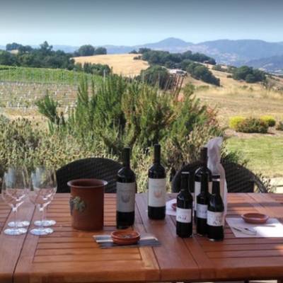 WINE TOURS 
